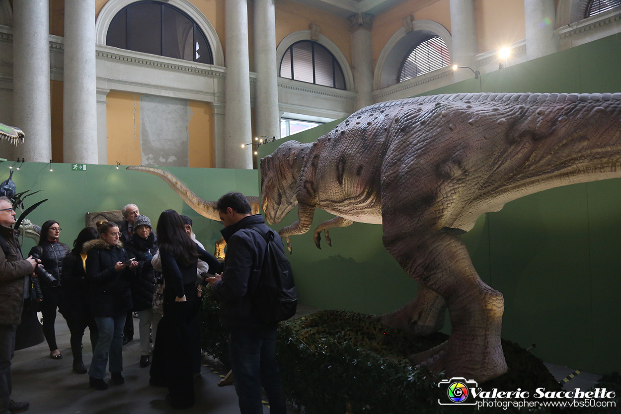 VBS_1049 - Dinosauri. Terra dei giganti.jpg